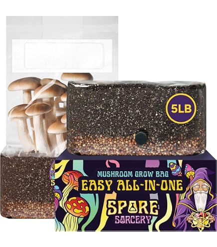 Amazon.com : SPORE SORCERY 6 LB All-in-One Mushroom Grow Bag: Up